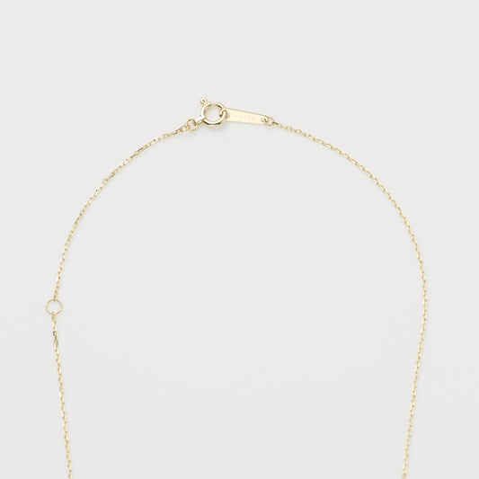 K10 Necklace Chain (45Cm)