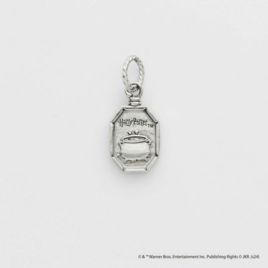 <Harry Potter Collaboration> Silver Charm