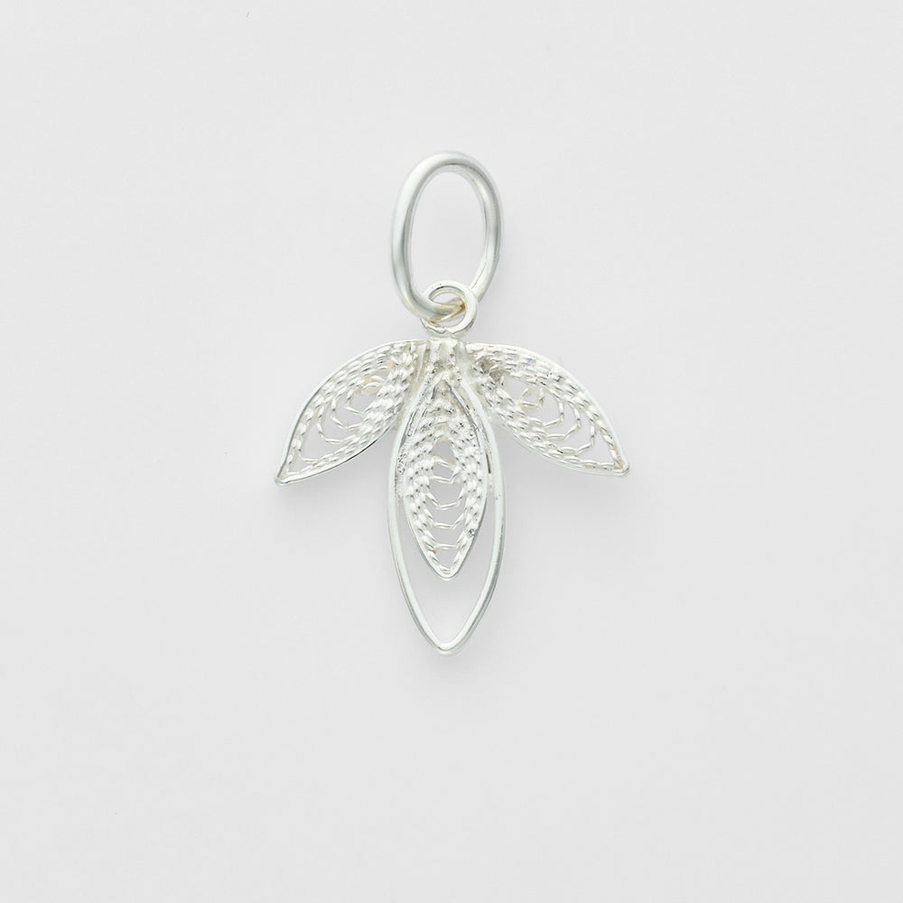 Silver Charm