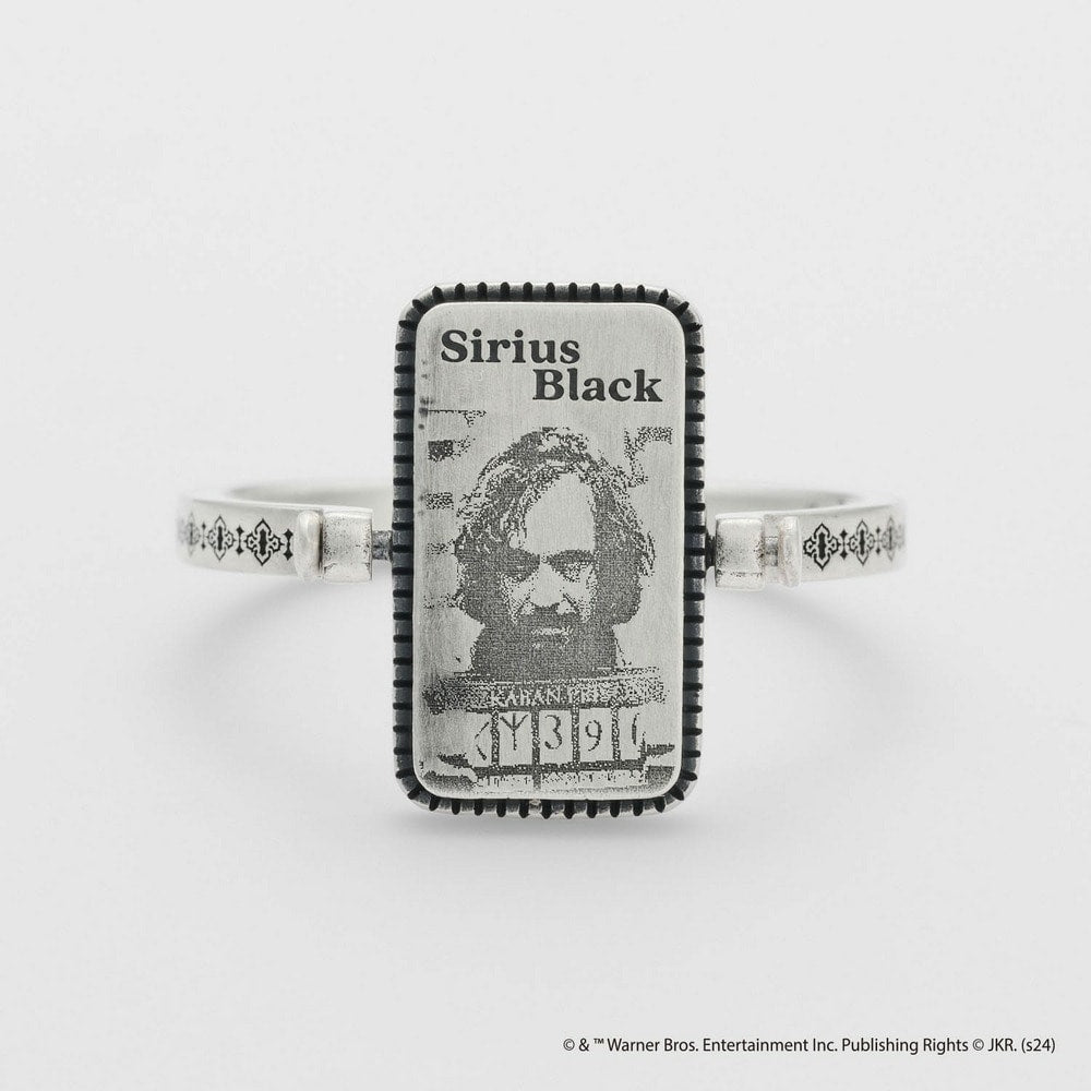<Harry Potter Collaboration> Silver Ring