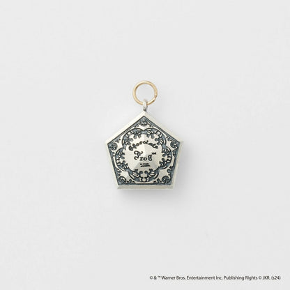 <Harry Potter Collaboration> Silver Earring Charm (Single)