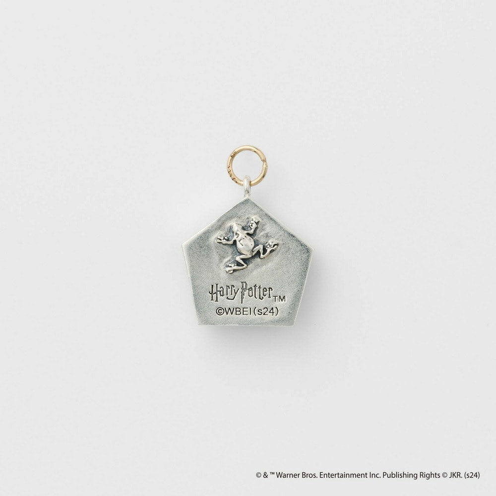 <Harry Potter Collaboration> Silver Earring Charm (Single)