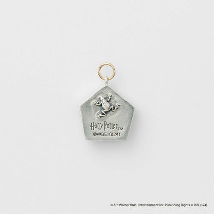 <Harry Potter Collaboration> Silver Earring Charm (Single)