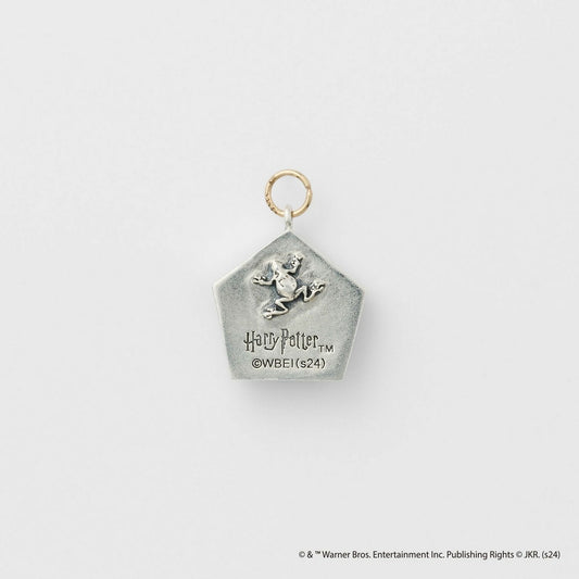 <Harry Potter Collaboration> Silver Earring Charm (Single)