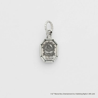 <Harry Potter Collaboration> Silver Charm