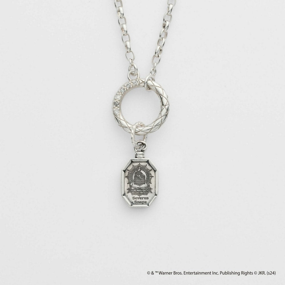 <Harry Potter Collaboration> Silver Charm