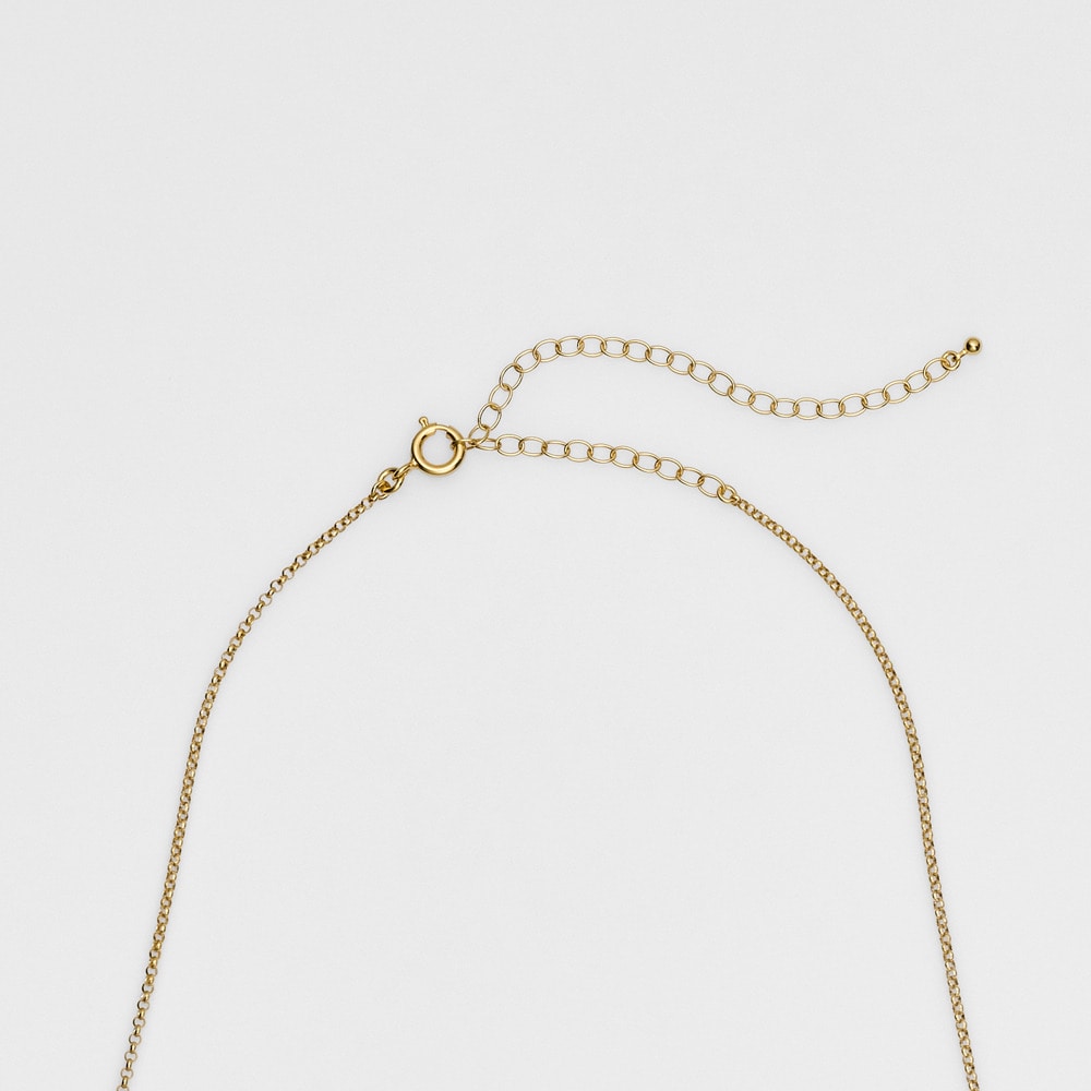 Gold Choker Necklace