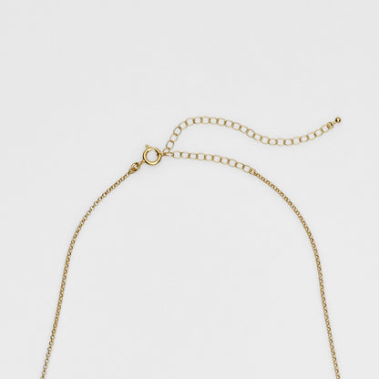 Gold Choker Necklace