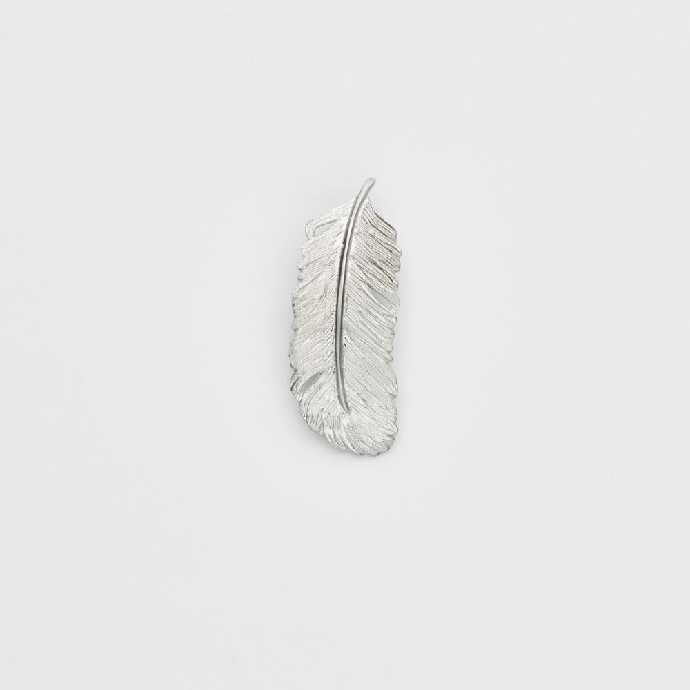 Silver Charm