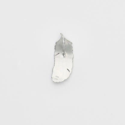 Silver Charm
