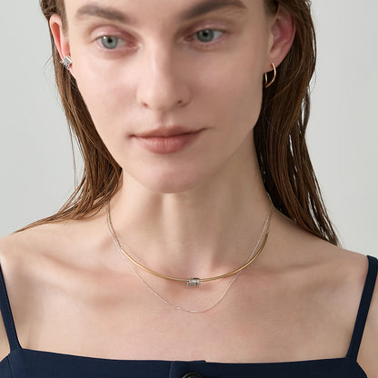 Silver Charm
