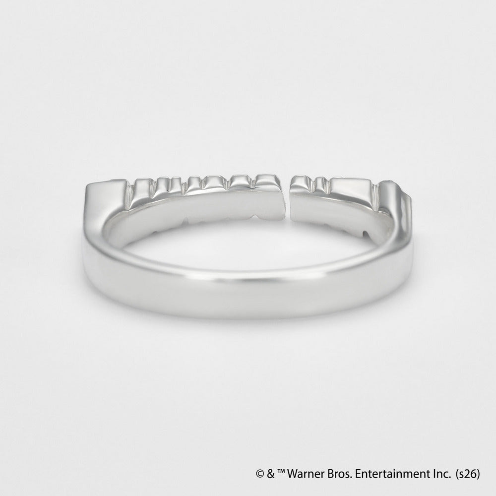 <The Goonies Collaboration> Silver Ring