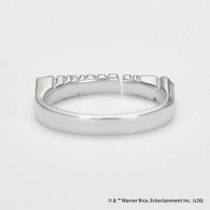 <The Goonies Collaboration> Silver Ring
