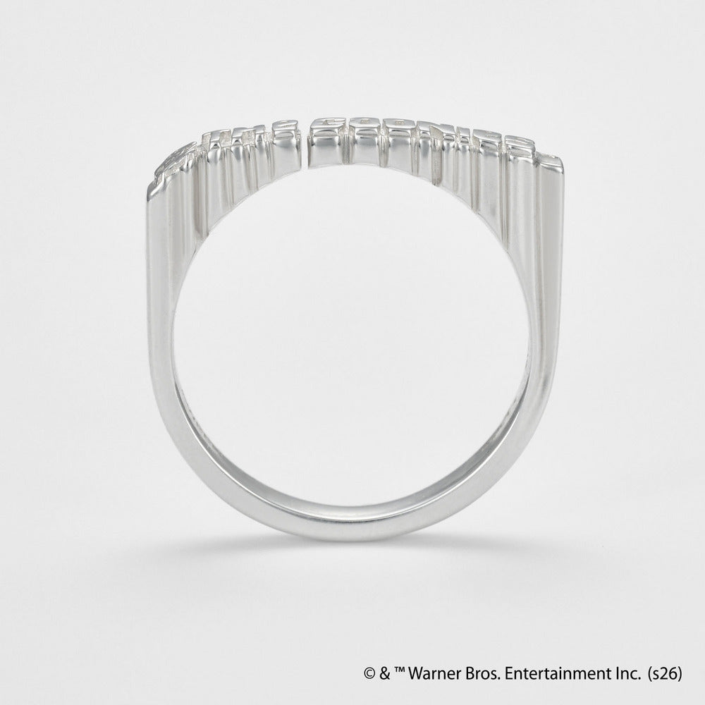 <The Goonies Collaboration> Silver Ring