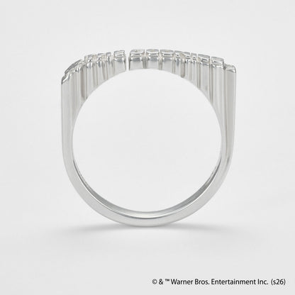 <The Goonies Collaboration> Silver Ring